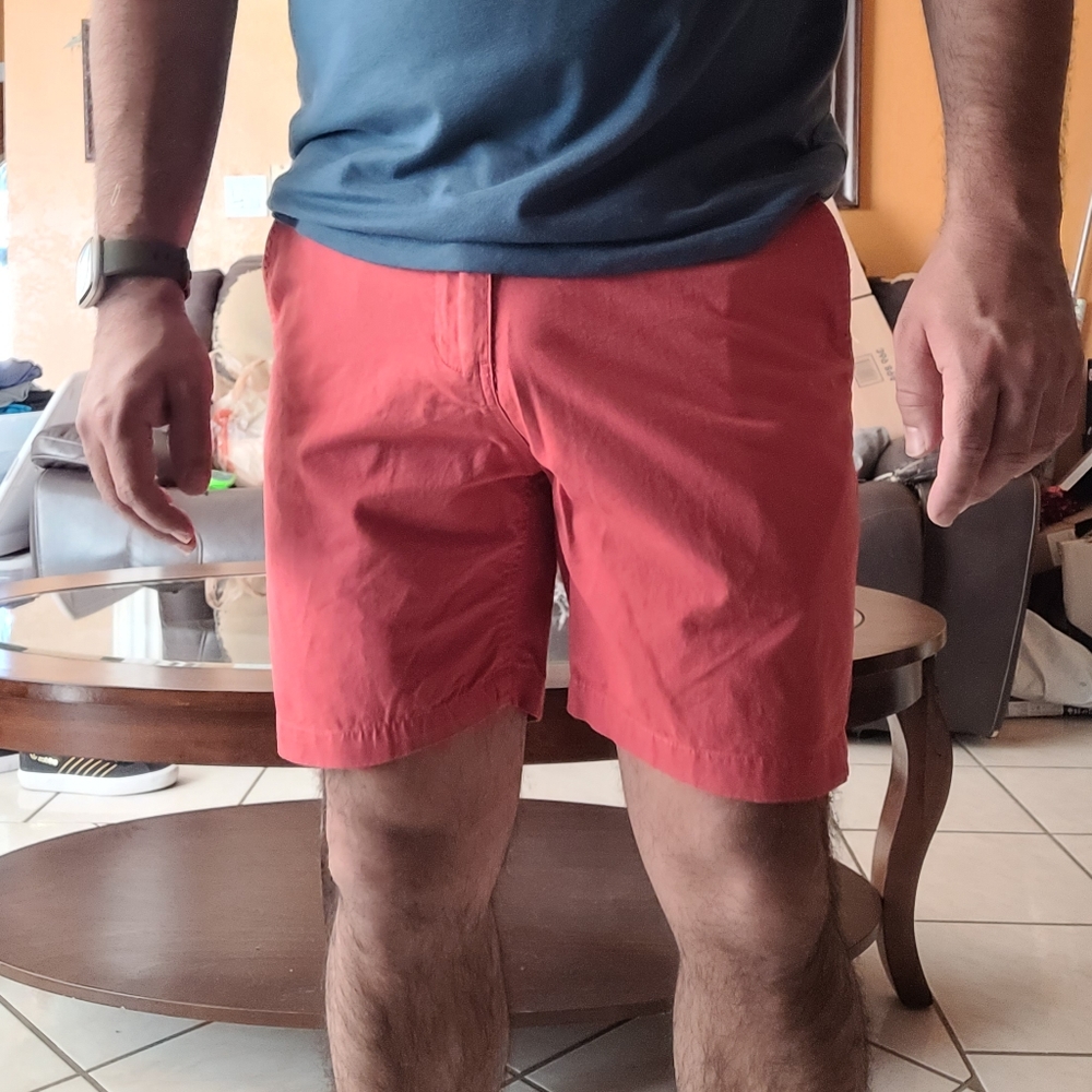 6" shorts